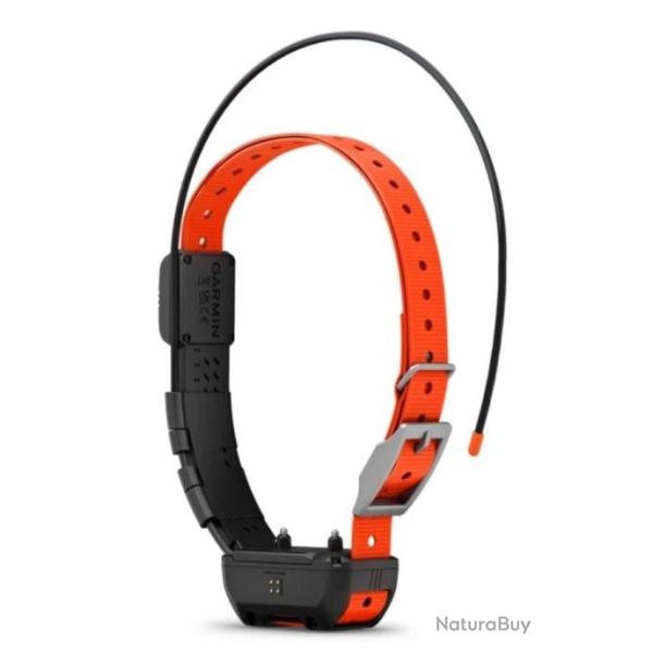 Colliers tt25 usa neufs 2025