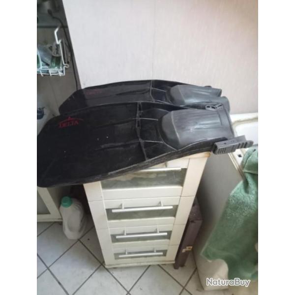 palme Delta longueur 52 cm largueur 22 cm