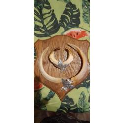 TROPHEE DENTS DE SANGLIER SUR ECUSSON BOIS