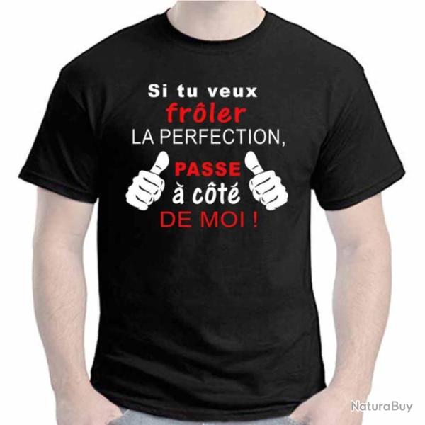 T-SHIRT - SI TU VEUX FR�LER LA PERFECTION PASSE � COT� DE MOI  - Id�e cadeau pote No�l  Anniversaire