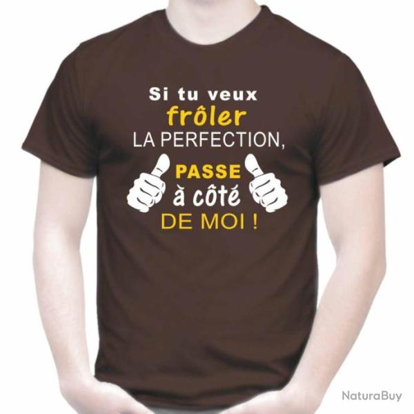 T-SHIRT - SI TU VEUX FR�LER LA PERFECTION PASSE � COT� DE MOI  - Id�e cadeau Anniversaire Pote No�l
