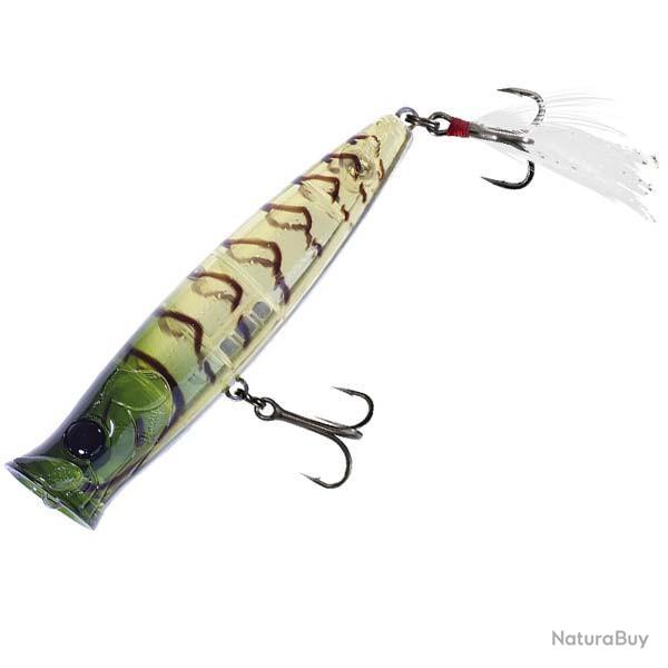 Popper Ubuntu 70 Candy Shrimp