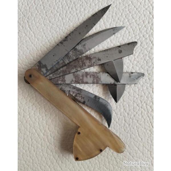 Flamme de vtrinaire  5 lames