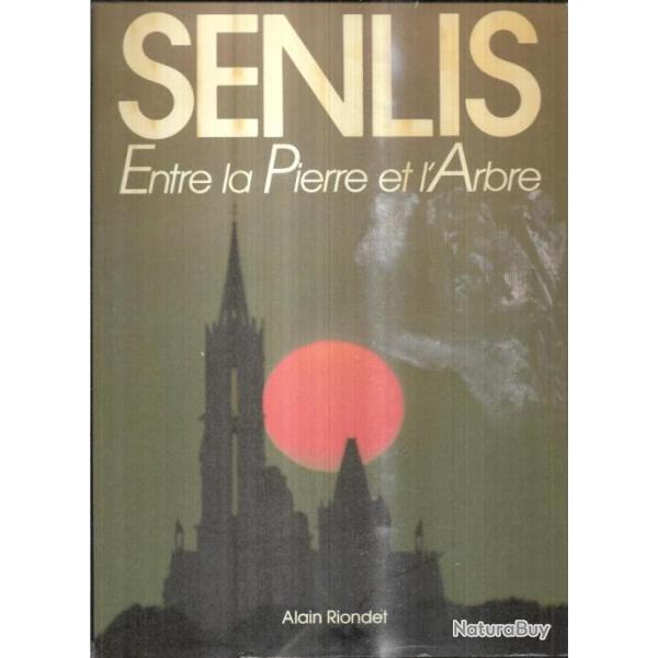 senlis entre la pierre et l'arbre d'alain riondet