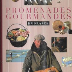 promenades gourmandes en france jean-luc petitrenaud et pierre vallaud