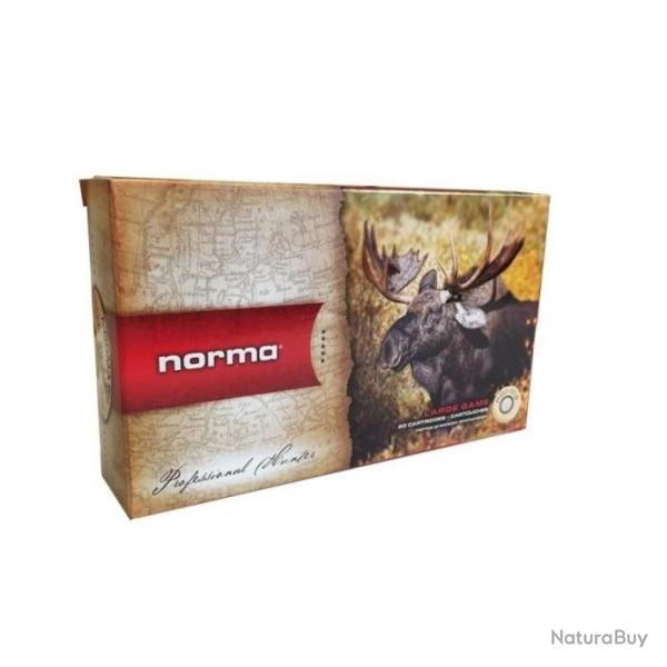 1 BOITE DE 20 BALLES NORMA CAL 9.3X62 POINTE PLASTIQUE 18.5G  285 GR