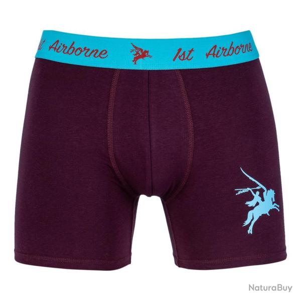 Boxer Pegasus Airborne