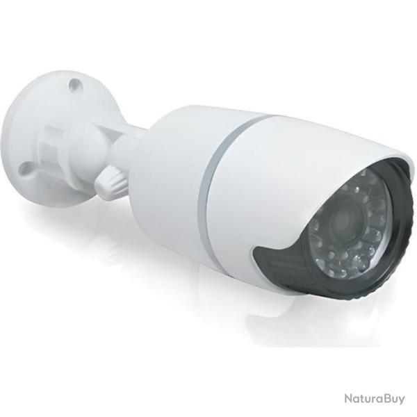 Cam�ra de surveillance factice Int�rieur Ext�rieur voyant lumineux