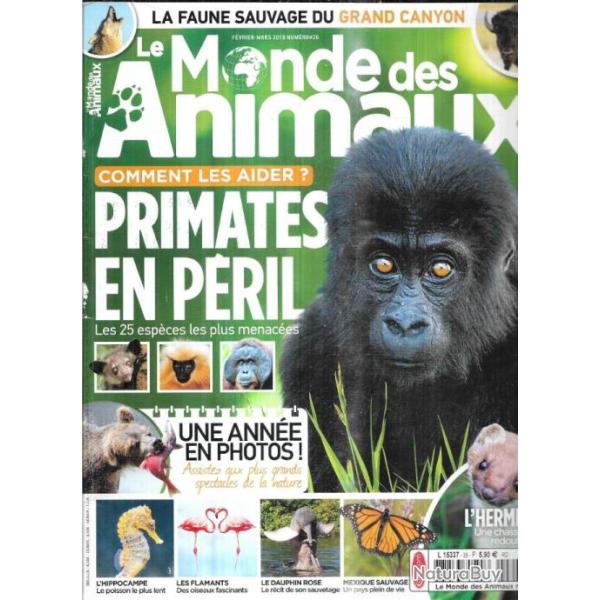 le monde des animaux 2019 26, l'hermine, manchots, flamants , mexique sauvage, hippocampe