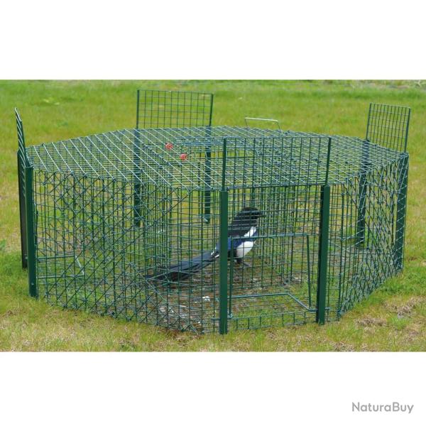 Pige  pies 5 compartiments maille carre  100cm x30cm