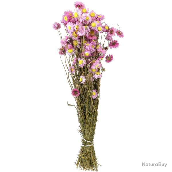 Bouquet fleurs s�ch�es acroclinium rose - 70 cm
