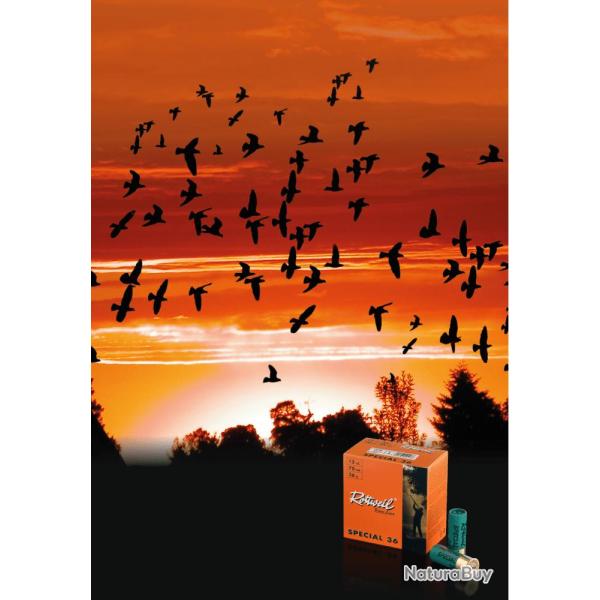 Cartouches Rottweil Special 36 Cal.12/70 36g - N�6 - 2,7mm