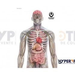 Cible d'entrainement Pegi18