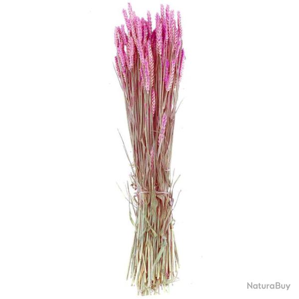 Bouquet sch de bl triticum rose - 70 cm