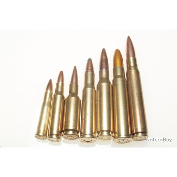 Collection de 7 cartouches de gros calibres diffrents