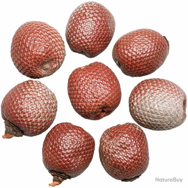 Fruits schs dco salak peau de serpent - Lot de 5