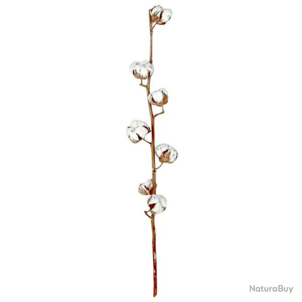 Branche de fleurs de coton - 60 cm