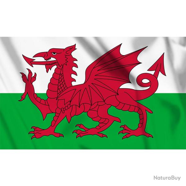 Drapeau Pays de Galles 1m x 1m50