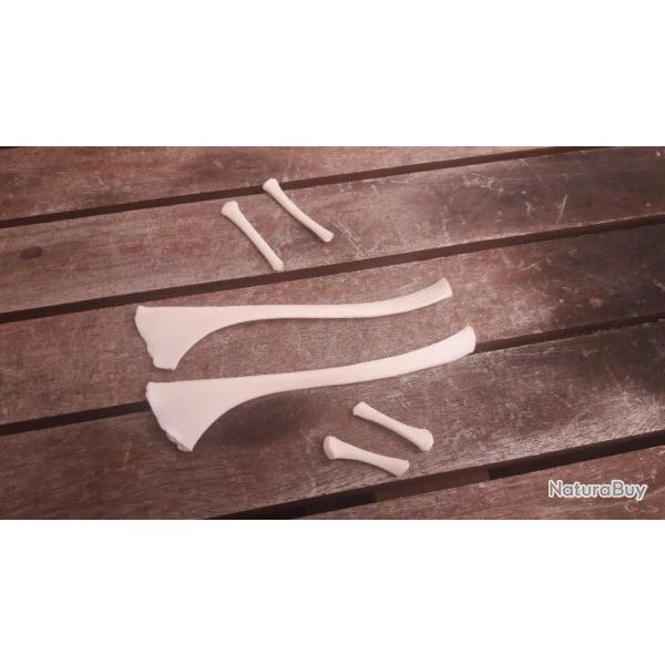 Lot de curiosits ; hyode de girafe