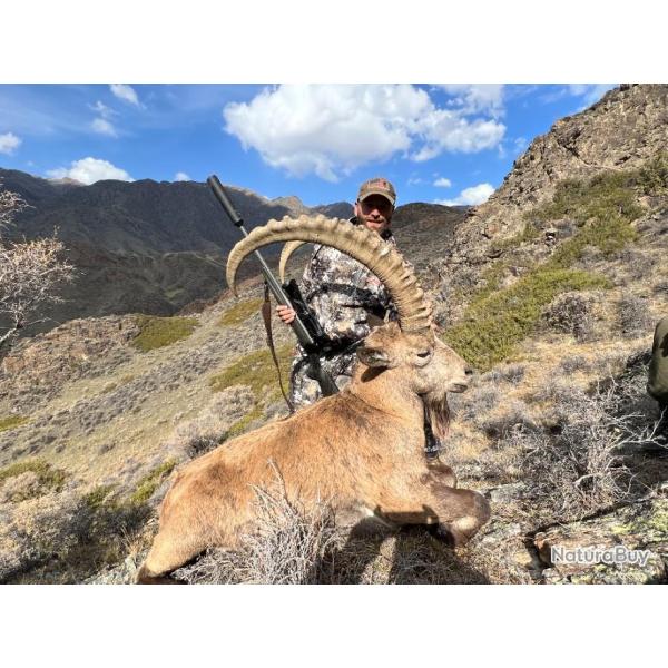 Ibex de Sib�rie