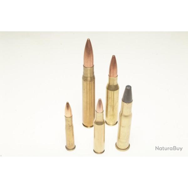 Collection de 5 cartouches  gros calibres