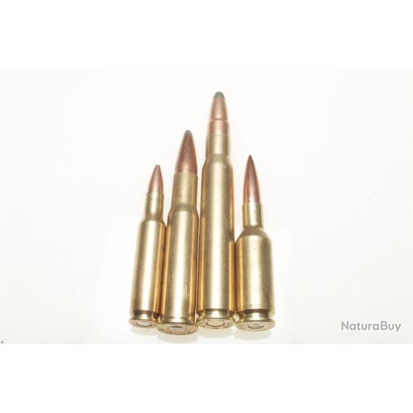 Collection de 4 cartouches gros calibres