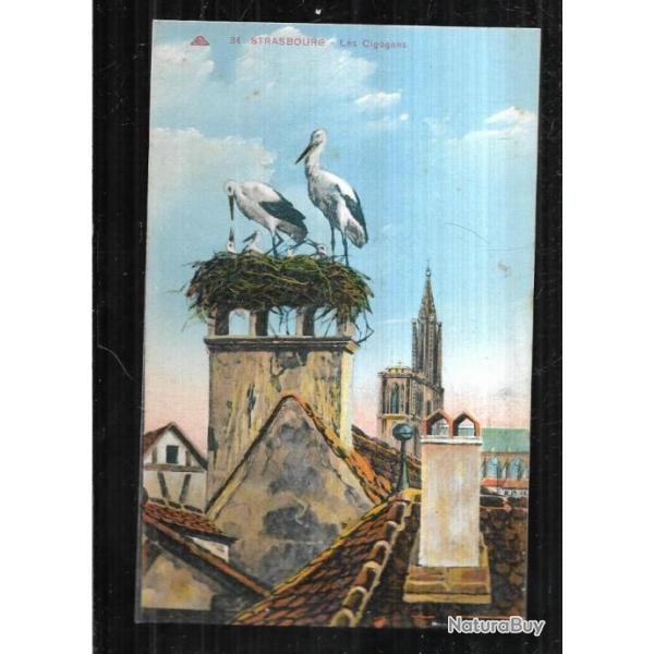 strasbourg les cigognes carte postale ancienne colorise