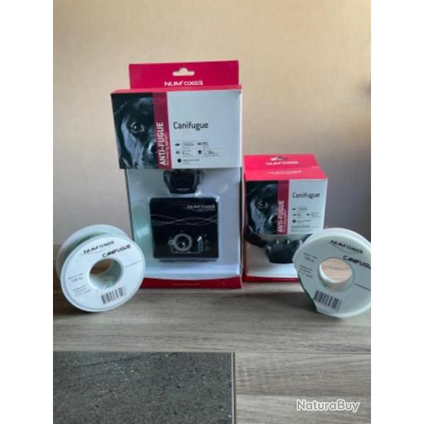 Pack canifugue 2 colliers plus bobines