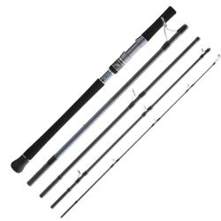 Canne Spinning Voyage Hearty Rise Skywalker Shore Jigging 5 Max 100g 2m91 308g