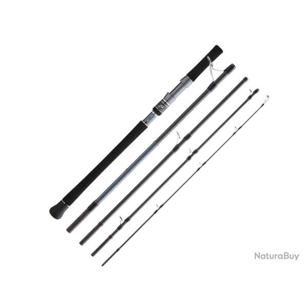 Canne Spinning Voyage Hearty Rise Skywalker Shore Jigging 5 Max 100g 2m91 308g