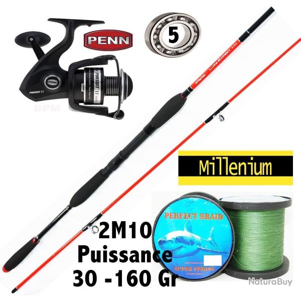 PACK BATEAU LEURRE SOUPLE / JIG PENN PURSUIT II 5 000 + LURE EXPERT MILLENUIM