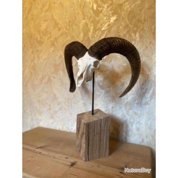 Support � troph�e