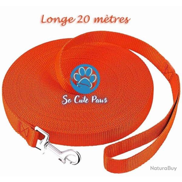 Longe Laisse 10 m�tres Orange pour Chien So Cute Paws Cheval  Animaux chasse Livraison Gratuite!