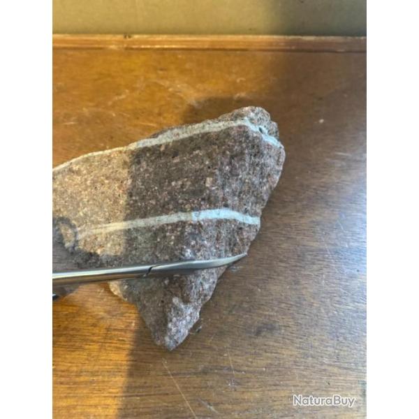 CISEAUX PRADEL COUPE ONGLE 2025    2