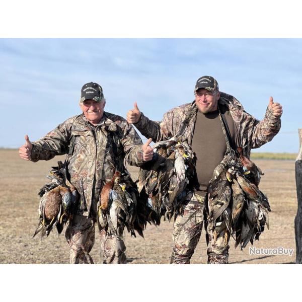 ARGENTINE -  CANARDS - TOURTERELLES - PIGEONS