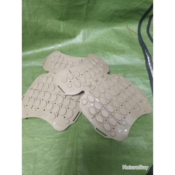 Genouillre tigre - TTA coyote