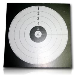 CIBLE 14X14 PAQUET DE 100 GARNIER