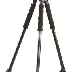 Canne de Pirsch 3 en 1 QUEST T62