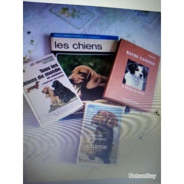 LOT DE 4 PETITS  LIVRES