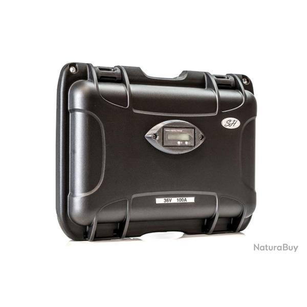 Batteries SH Lithium ION Haute performance tanche Non 36V 100A