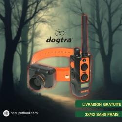 2600 T&B DOGTRA ideal pour chien b&eacute;cassier LIVRAISON OFFERTE