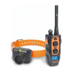 Collier Dogtra 2600 T&B Dressage & Beeper Chien d'Arr&ecirc;t N&eacute;A