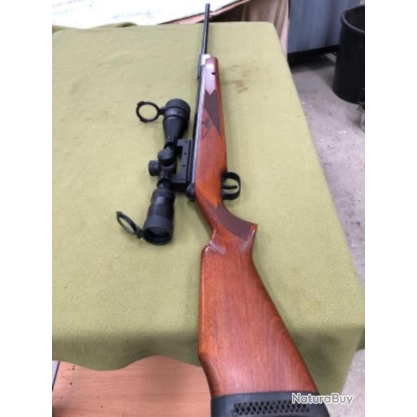 Carabine Diana 350 magnum