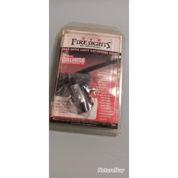 Vis�e  Firesights remington