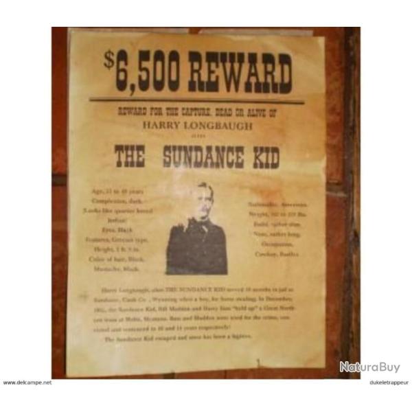 Avis de recherches ! 7