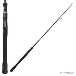 Canne Spinning EverGreen Phase The Smooth Torque 65M