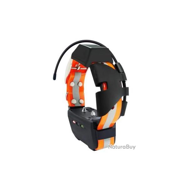 Collier suppl�mentaire de rep�rage & dressage Rog hunting mini speeder