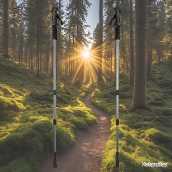 B�TON DE MARCHE NORDIQUE RANDONN�E ENERGIA DUR ALUMIN 2 FULL CONTROL SILVER RESSORT ANTI-CHOC