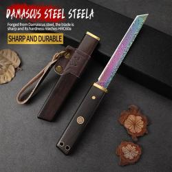 Couteau Japonais style Damas Etui Ebene-D