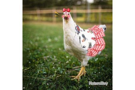 Selle De Poule Protection Anti-Plumage – Tablier & Gilet Pour Poules Avec Sangles Réglables, Confortable Et Réutilisable